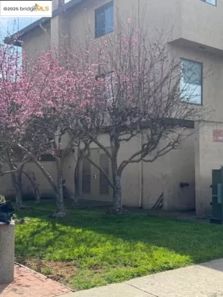 Photo #1: 41102923 Listing 