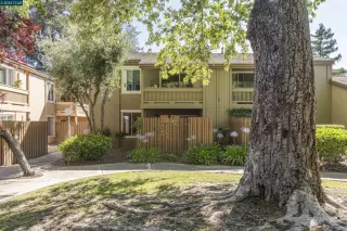 Photo #1: 41104184 Listing