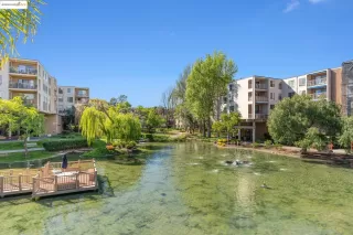 Photo #1: 41104188 Listing 