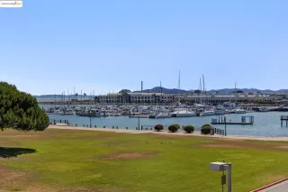 Photo #5: 41104203 Listing 