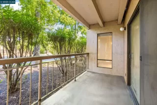 Photo #4: 41104219 Listing