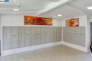 Photo #3: 41104267 Listing 