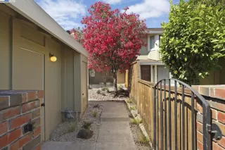 Photo #1: 41104308 Listing