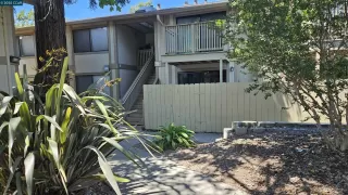 Photo #1: 41105040 Listing 