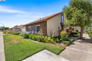 Photo #1: 41105241 Listing 