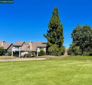 Photo #4: 41105521 Listing