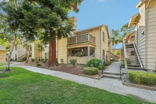 Photo #1: 41105552 Listing