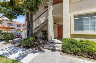 Browse active condo listings in ALAMO CREEK