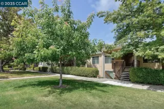 Photo #1: 41105858 Listing