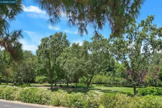 Photo #2: 41106189 Listing 