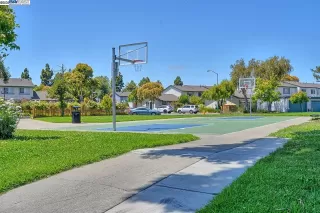 Photo #4: 41106471 Listing