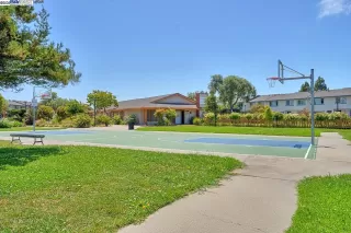 Photo #5: 41106471 Listing