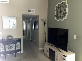 Photo #1: 41106495 Listing 