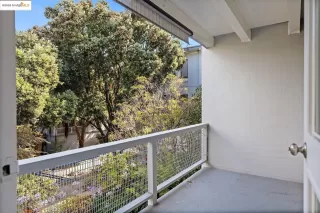 Photo #5: 41106497 Listing