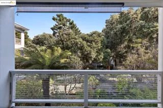 Photo #6: 41106497 Listing