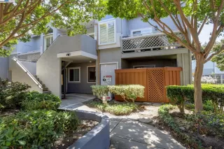 Photo #1: 41106513 Listing 