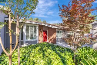 Photo #5: 41106615 Listing 