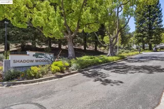 Photo #1: 41106695 Listing