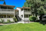 Primary Photo for MLS#: 41106782