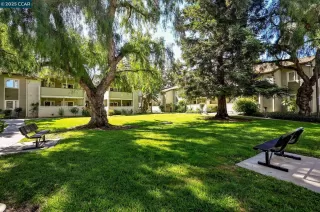 Photo #2: 41106782 Listing 