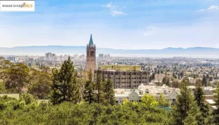 Photo #4: 41106792 Listing 