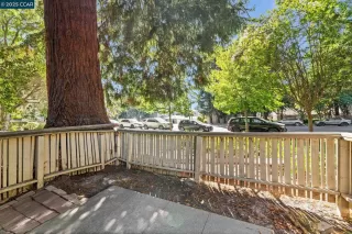 Photo #2: 41106830 Listing