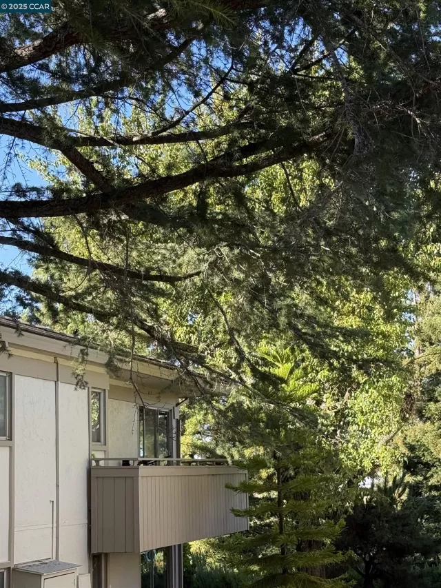 MLS: 41106926 Condo For Sale