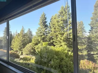 Photo #1: 41106926 Listing