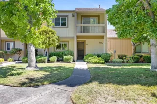 Browse active condo listings in BAY FARM ISLAND