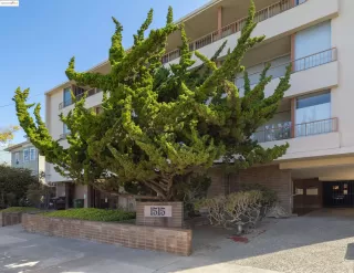 Photo #1: 41107869 Listing 