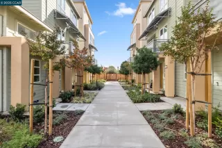 Photo #3: 41108244 Listing 