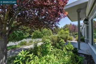 Photo #2: 41108478 Listing