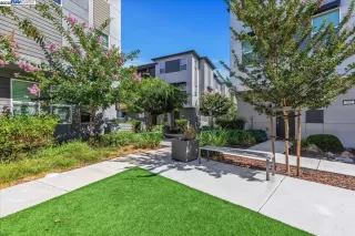 Photo #1: 41108716 Listing 