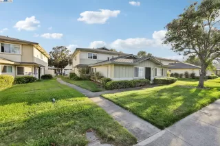 Photo #1: 41108792 Listing 