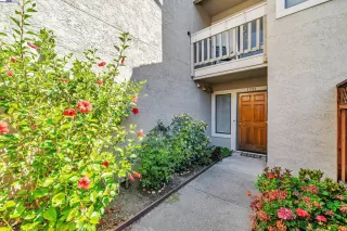 Photo #3: 41108924 Listing