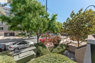 Photo #1: 41108959 Listing 