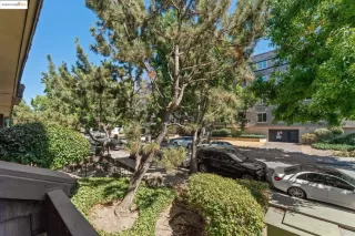 Photo #5: 41108959 Listing 