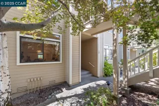 Photo #1: 41109063 Listing