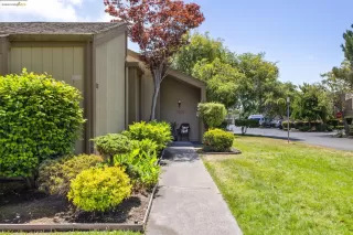 Photo #2: 41109457 Listing 