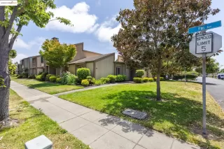 Photo #3: 41109457 Listing 