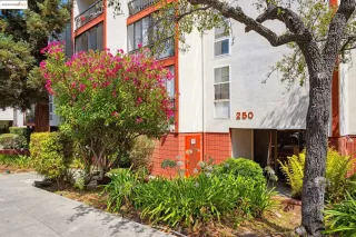 Photo #1: 41109514 Listing