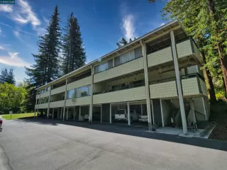 Photo #1: 41109835 Listing 