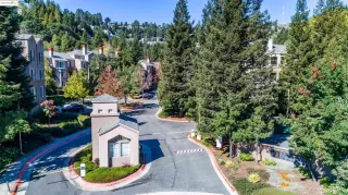 Photo #1: 41110134 Listing