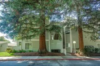 Photo #1: 41110198 Listing 