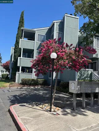 Photo #3: 41110339 Listing