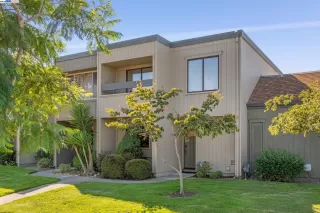 Photo #1: 41110513 Listing 