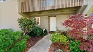 Photo #4: 41110518 Listing