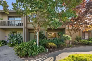 Photo #1: 41110700 Listing