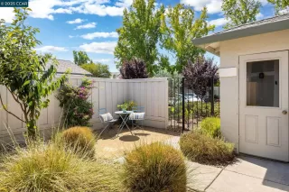 Photo #1: 41110856 Listing 