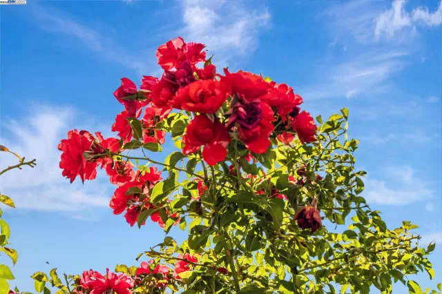 MLS: 41110980 Condo For Sale